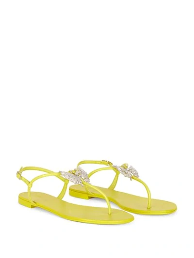 Shop Giuseppe Zanotti Farifu Crystal-embellished Sandals In Yellow