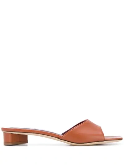 Shop Staud Square Front Mule In Brown