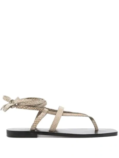 Shop A.emery Strappy Leather Sandals In Neutrals