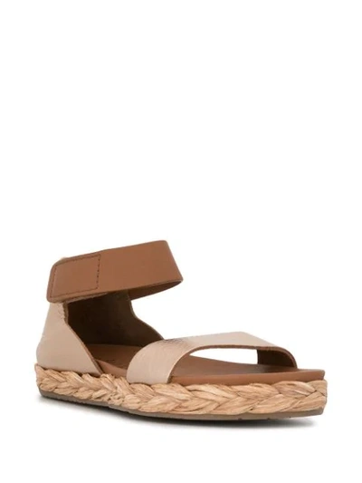 Shop Pedro Garcia Jaida Open Toe Sandals In Brown