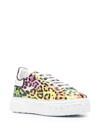Shop Casadei Off-road Leopard-print Sneakers In Yellow