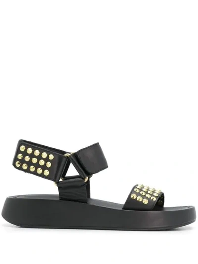 Shop Ash Studded Sandals In Black