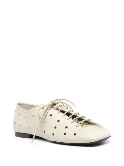 Shop Lemaire Perforated Lace-up Derby Shoes In Neutrals