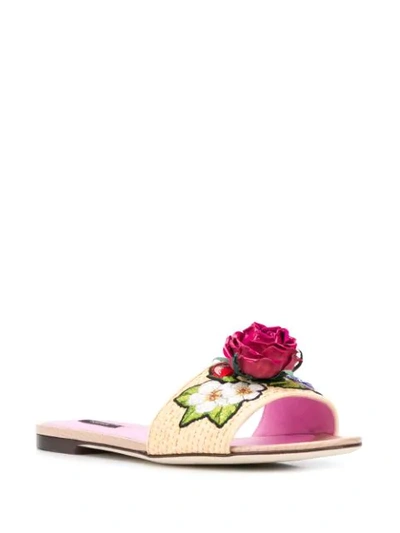 Shop Dolce & Gabbana Bianca Floral-appliqué Slide Sandals In Neutrals