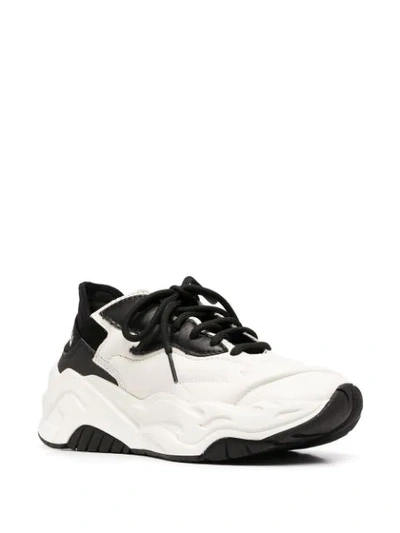 Shop Just Cavalli P1thon Air Low-top Sneakers In White