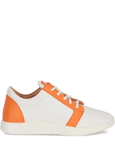 Shop Giuseppe Zanotti Two-tone Low-top Sneakers In White