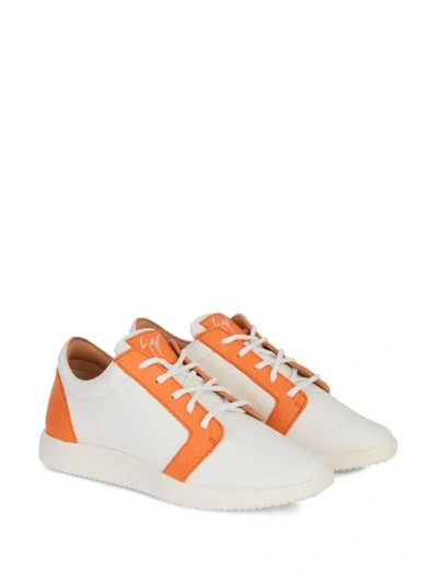Shop Giuseppe Zanotti Two-tone Low-top Sneakers In White