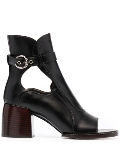 Shop Chloé Gaile Open-toe Boots In Black