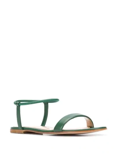 Shop Gianvito Rossi Jaime Flat Leather Sandals In Green