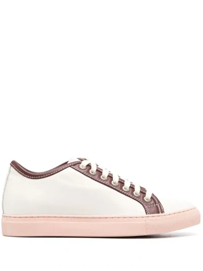 Shop Sofie D'hoore Frida Panelled Sneakers In Neutrals