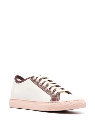 Shop Sofie D'hoore Frida Panelled Sneakers In Neutrals
