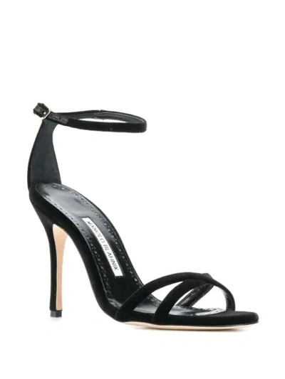Shop Manolo Blahnik Paloma Velvet Sandals In Black