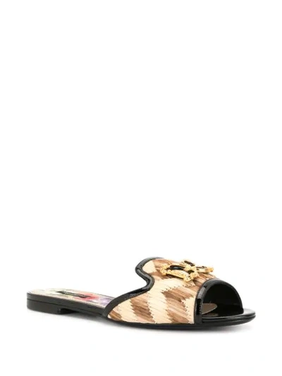 Shop Dolce & Gabbana Bianca Sandals In Black