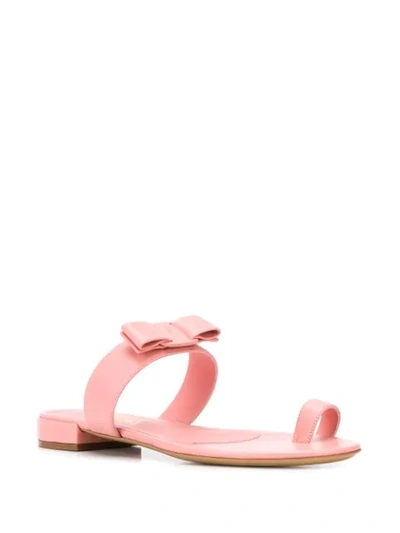 Shop Ferragamo Vara Bow Thong Style Sandals In Pink