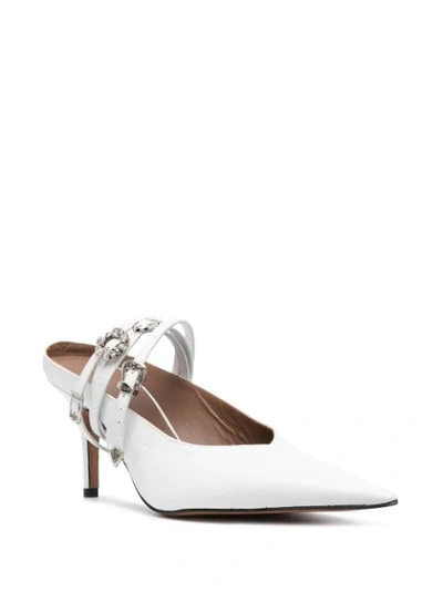 Shop Abra Belt Pointed Toe Mules In White