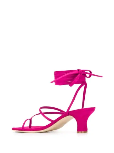 Shop Paris Texas Wrap Tie Low Sandals In Pink