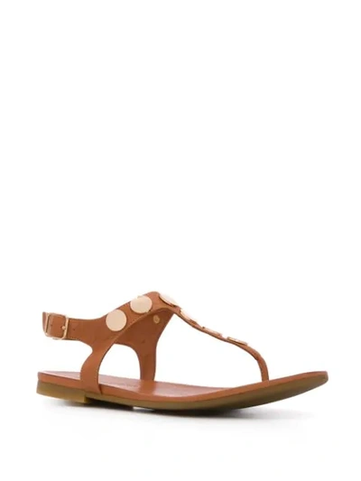 Shop Kurt Geiger Maddie Thong Sandals In Brown