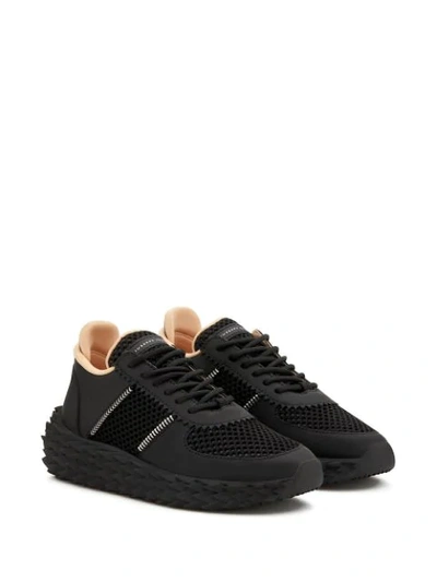 Shop Giuseppe Zanotti Urchin Mesh Panelled Sneakers In Black