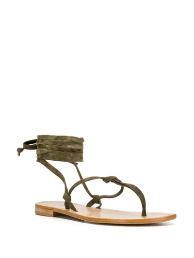 Shop P.a.r.o.s.h Lace-up Thong Sandals In Green