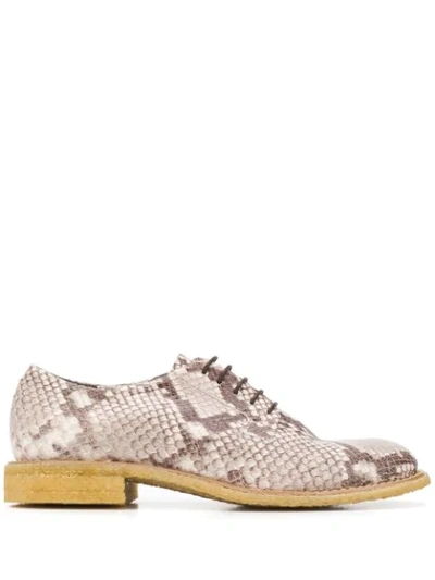 Shop Del Carlo Python Effect Lace-up Shoes In Neutrals