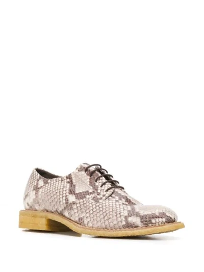 Shop Del Carlo Python Effect Lace-up Shoes In Neutrals