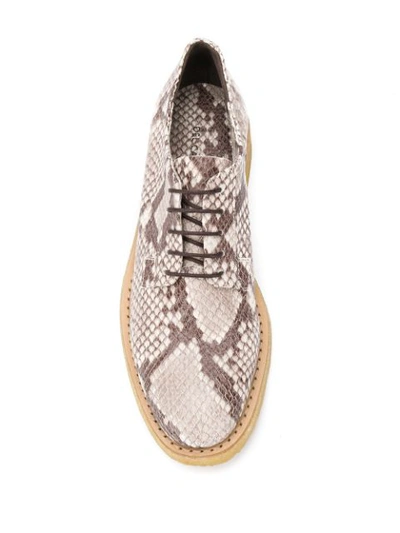 Shop Del Carlo Python Effect Lace-up Shoes In Neutrals