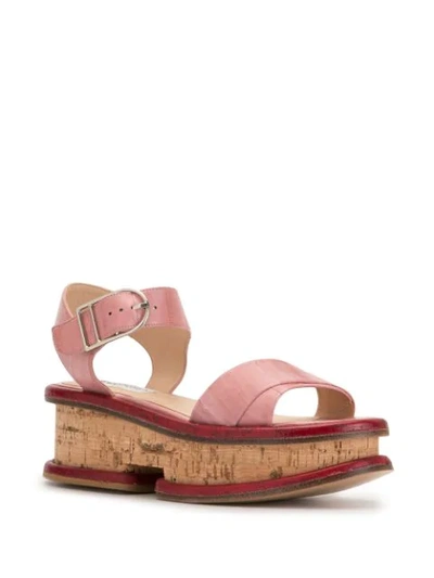 Shop Gabriela Hearst Bradley Platform Sandals In Pink