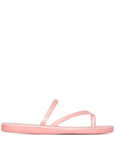 Shop Ancient Greek Sandals Strappy Flip Flops In Pink