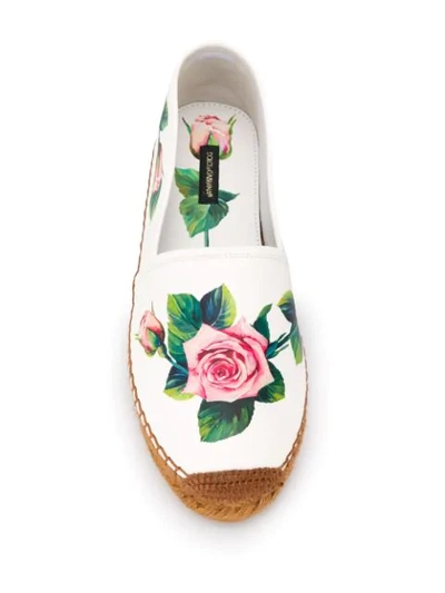 Shop Dolce & Gabbana Rose Espadrilles In White