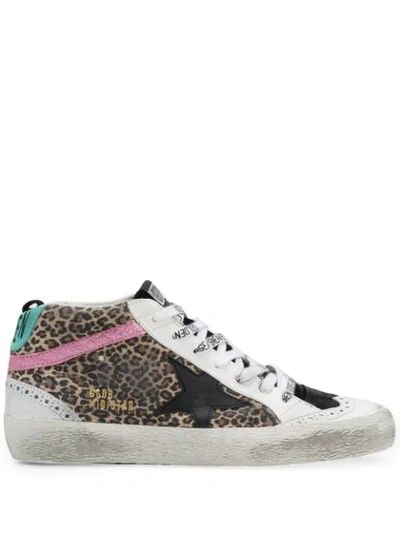 Shop Golden Goose Mid Star Sneakers In Brown