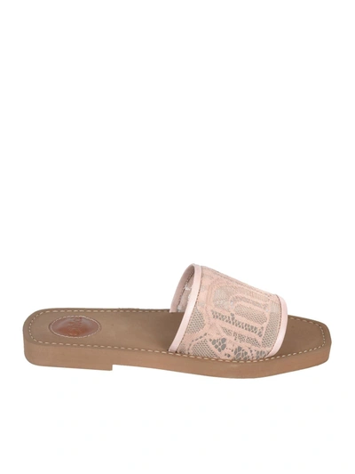 Shop Chloé Woody Lace Flat Mules In Pink Tea Color