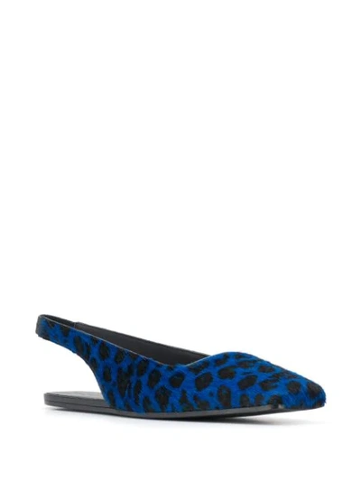 Shop Mm6 Maison Margiela Leopard Print Slingback Ballerina Shoes In Blue