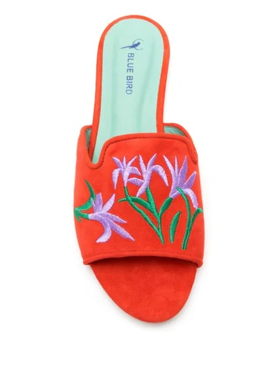 Shop Blue Bird Shoes Embroidered Slide Sandals In Red