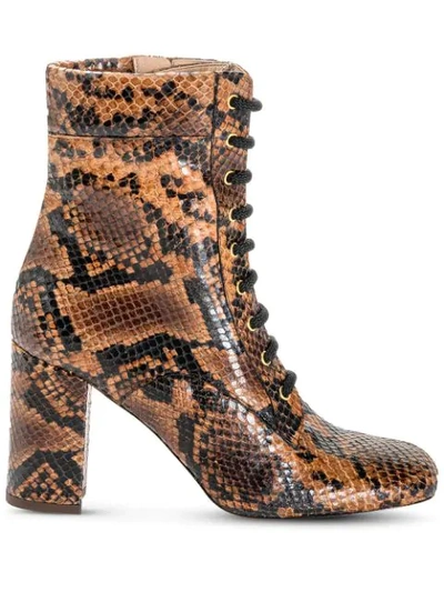 Shop Pinko Denise Boots In Brown