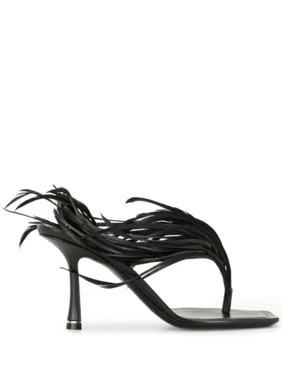 Shop Alexander Wang Ivy Feather Sandals In Black