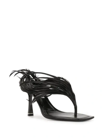 Shop Alexander Wang Ivy Feather Sandals In Black