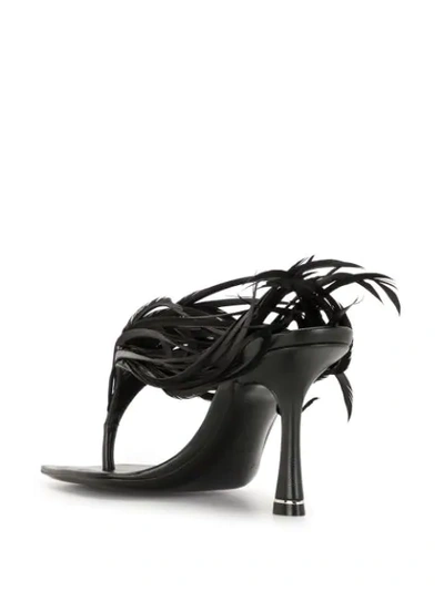 Shop Alexander Wang Ivy Feather Sandals In Black