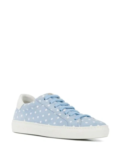 Shop Hide & Jack Low-top Sneakers In Blue