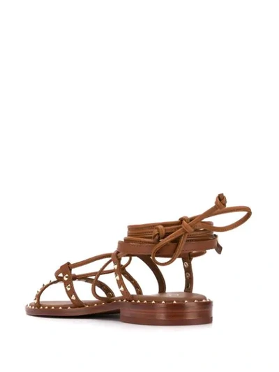 Shop Ash Princess Rockstud Gladiator Sandals In Brown