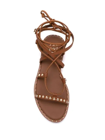 Shop Ash Princess Rockstud Gladiator Sandals In Brown