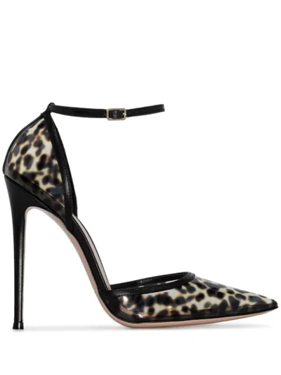 Shop Gianvito Rossi Plexi 110mm Leopard Print Pumps In Black