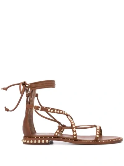 Shop Ash Studded Flat Sandals In Brown