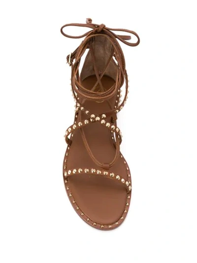 Shop Ash Studded Flat Sandals In Brown