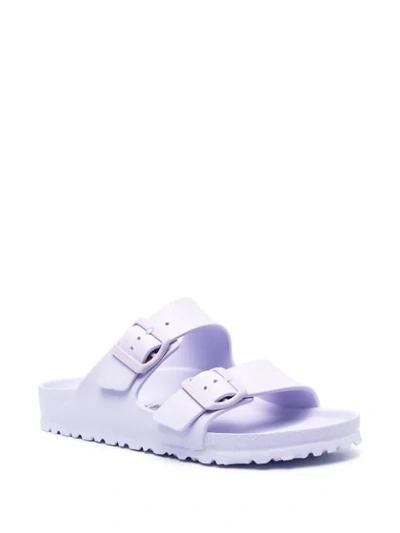 Shop Birkenstock Arizona Buckle Slides In Purple