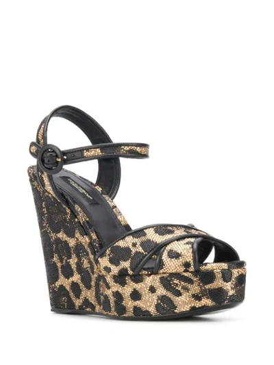 Shop Dolce & Gabbana Leopard Print Wedge Heels In Neutrals