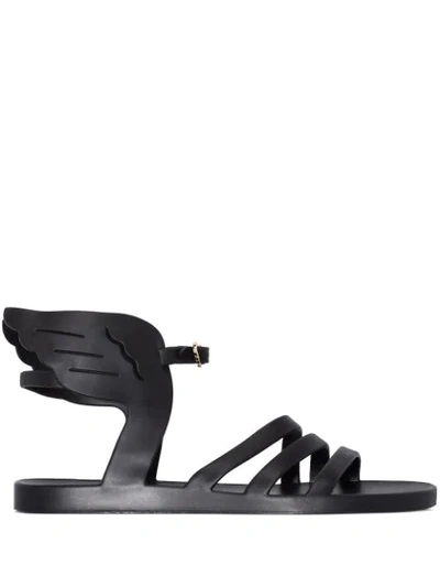 Shop Ancient Greek Sandals Ikaria Jelly Wing-detail Sandals In Black