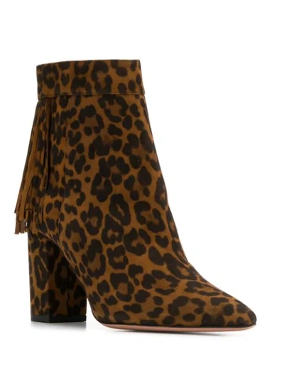 Shop Aquazzura Regent Leopard-print Ankle Boots In Brown