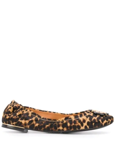 Shop Tory Burch Leopard Print Ballerina Shoes In Neutrals