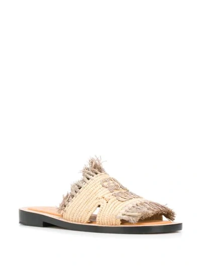 Shop Loewe Raffia Flat Sandals In Neutrals