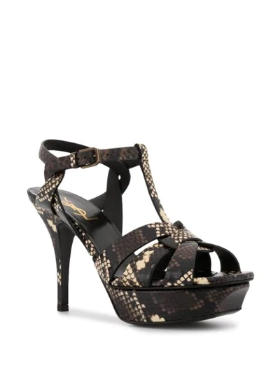 Shop Saint Laurent Snakeskin Effect 105mm Sandals In Multicolour